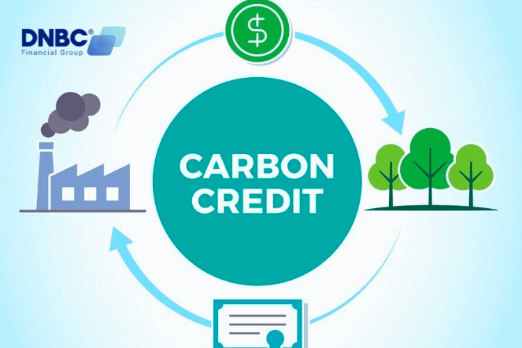 Understanding Carbon Tax Credit Trading